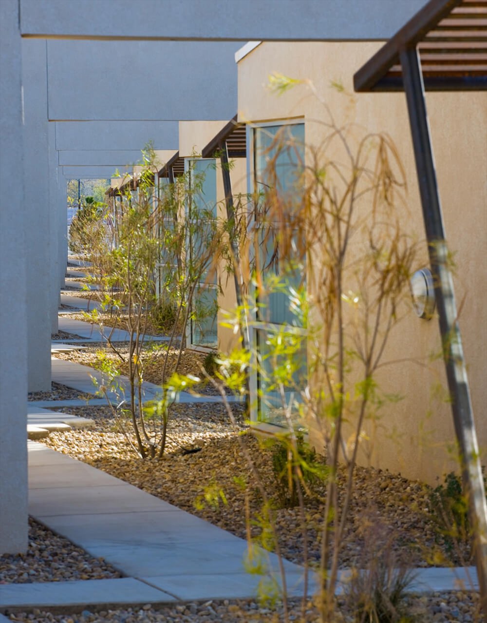 Walkway past private apartment entrances, young shade trees, and steel shade trellises at Lo Lomas
